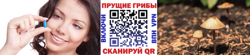 Псилоцибиновые грибы GOLDEN TEACHER  Железноводск 